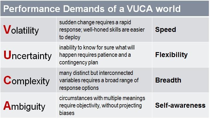 VUCA performance demands